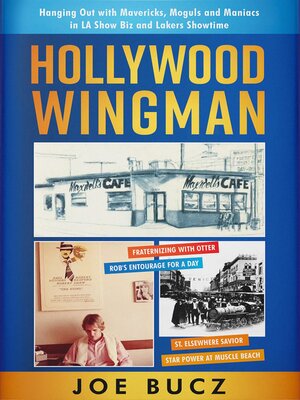 cover image of Hollywood Wingman